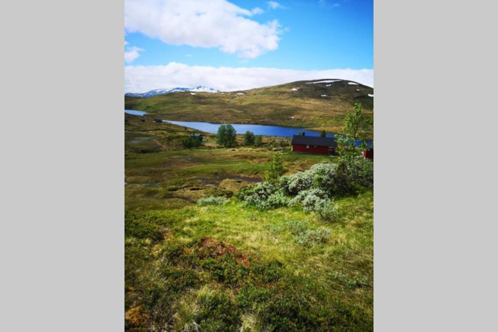 Casa Kleiv I Sogndalsdalen Exterior foto